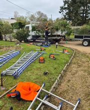 Jlr Elagage Cotes d'Armor image 6