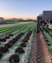 LA FERME DES SABLES image 1