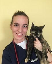 Clinique vétérinaire PK3 image 12