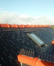 Mikaël Toutant SARL image 14