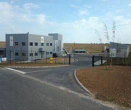 T.E.F image 2