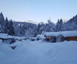 Camping Hasenweide Bild 3