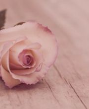 Bestattungs-Institut Paul Gruber Inh. Sebastian Gruber Bild 2