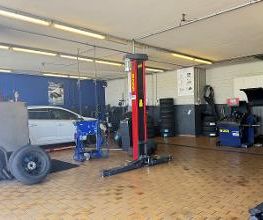 Euromaster Gisikon Bild 12