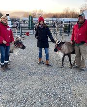 Whitetail Acres Nursery, Landscaping, and Reindeer Farm image 11