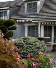 Bruno Preite Gartengestaltung und Gartenpflege - Ihr Gartenbauer im Limmattal, im Aargau & Zürich. Bild 8