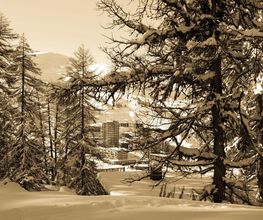 Alp Agence image 14