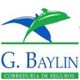logobaylin.jpg