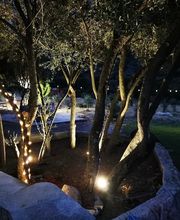 Domaine Anna-Dea image 2