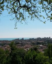 Ristorante Il Falco Pesaro immagine 3