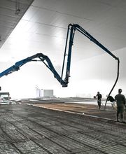 Sas Carneiro image 8