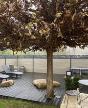 Dm Paysages image 10