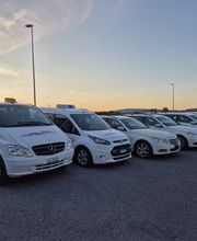 Carreisen + Taxi Vogel Bild 3