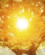 Baudin Jérome image 14