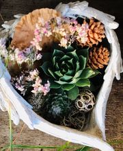 Lägere Blueme GmbH Bild 8