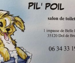 Pil Poil image 5