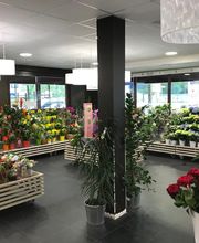 Carrément Fleurs - Fleuriste Montauban Albasud 82 - Livraison de fleurs à domicile image 3