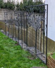 S.J. Jardins image 19