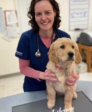 Heartland Animal Hospital image 7