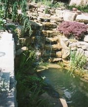 Sieben Elemente Jonathan Dieter Gartengestaltung Bild 11