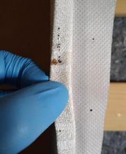 Hygiène Biocide image 19
