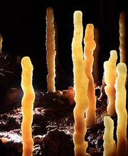 Hôtel De France image 4