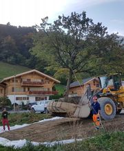 Henzelmann's Baumpflege AG Bild 3