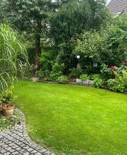 Gartenservice Mark Miess Bild 41