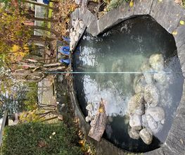 LUTZ Gartendesign GmbH Bild 12