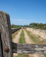 3Villas - Inmobiliaria y Alquiler Vacacional imagen 7