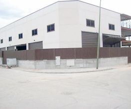 Cigosa4.jpg