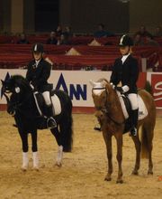 Reitschule Hess Bild 5