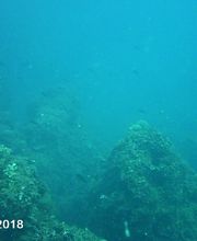 Domenico Rizzi immagine 15