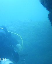 Domenico Rizzi immagine 13