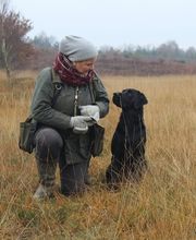 Wald & Hund - Hundetraining Bild 1
