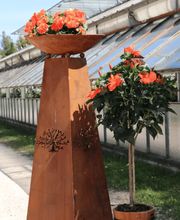 Blumen Metzler Bild 4