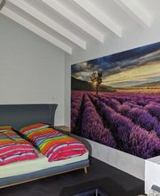 Wasescha Maler Bild 5