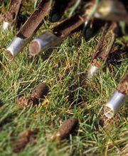 Turf Masters Lawn Care image 3