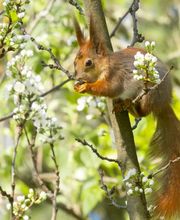 Sève et Vie Sàrl Bild 1