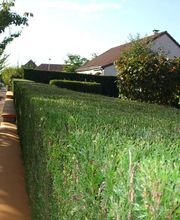 Vagne Service Verts image 7