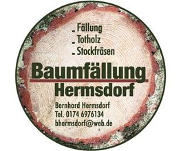 Bernhard Hermsdorf Baumfällungen Bild 3