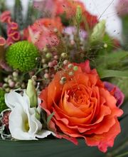 Sommerer & Co Bild 2