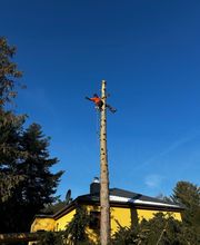 WhatsApp Bild 2025-03-31 um 09.39.37_6579c65d.jpg