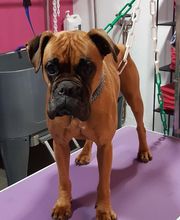 O'poils By Delphine image 5