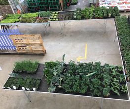 Le Saint Horticulture image 9