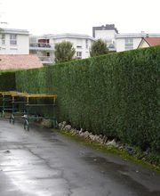 SAS ALBAN BEZELIN image 1