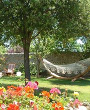373346--jardineria-casanova-hamaca_en_un_jardin.jpg