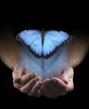 Met à Morphose image 3