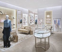 DIOR image 2