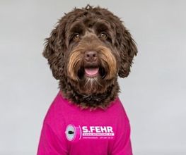 S. Fehr Kanalreinigung AG Bild 3